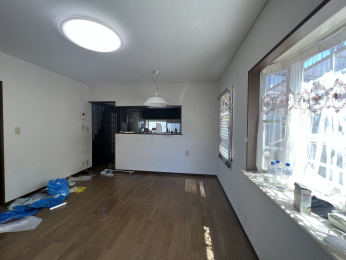 �����s�����q�s�l�J���̒��È�ˌ��Ẵ��r���O