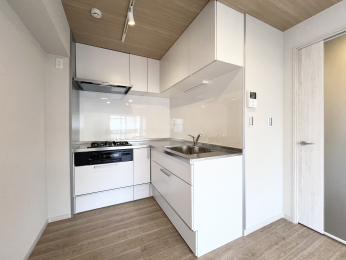 �����s�����q�s���c���̒��Ã}���V�����̃L�b�`��