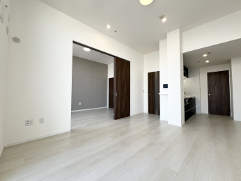 �����s�����q�s�������̒��Ã}���V�����̃��r���O