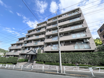 �����s�����q�s���؂̒��Ã}���V�����̌��n�O�ώʐ^