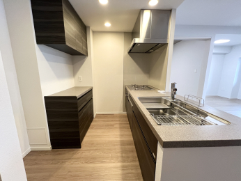 �����s�����q�s�����̒��Ã}���V�����̃L�b�`��