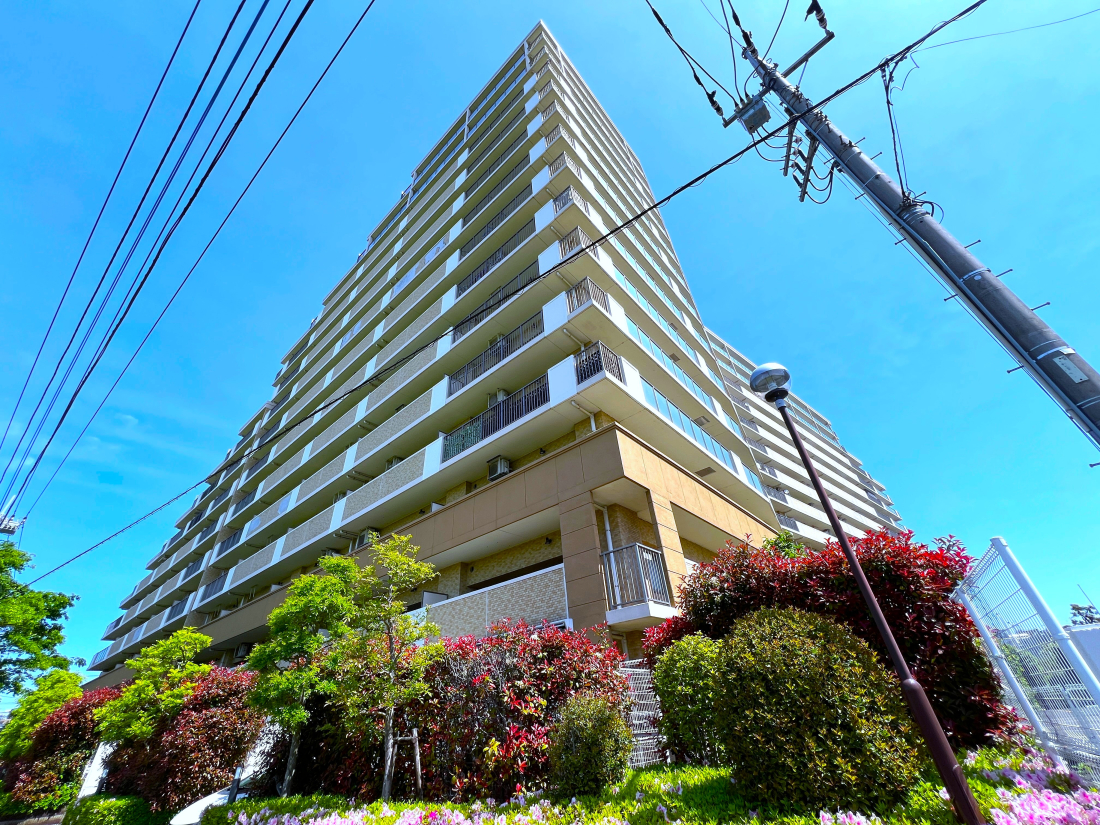 �����s�����q�s��a�c��3���ڂ̒��Ã}���V�����̌��n�O�ώʐ^