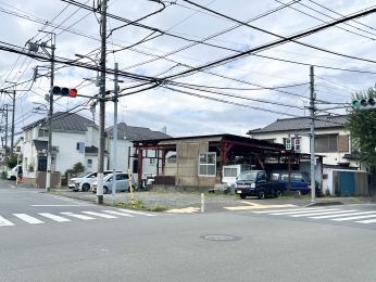 sqs{̓yn̑OʓH܂ތnʐ^