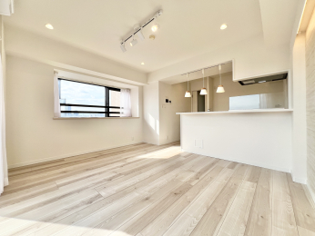 �����s�����q�s�ŉz���̒��Ã}���V�����̃��r���O