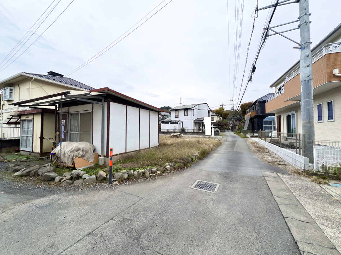 sqs̓yn̑OʓH܂ތnʐ^