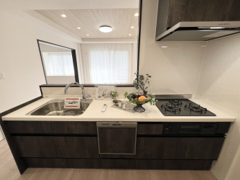 �����s�����q�s����1���ڂ̒��Ã}���V�����̃L�b�`��