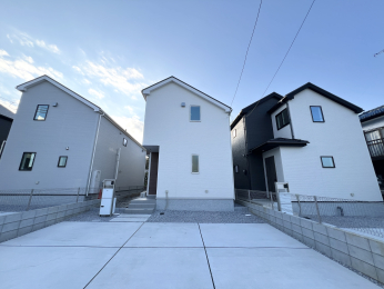 sqs󕪕̐VzˌĂ̌nOώʐ^