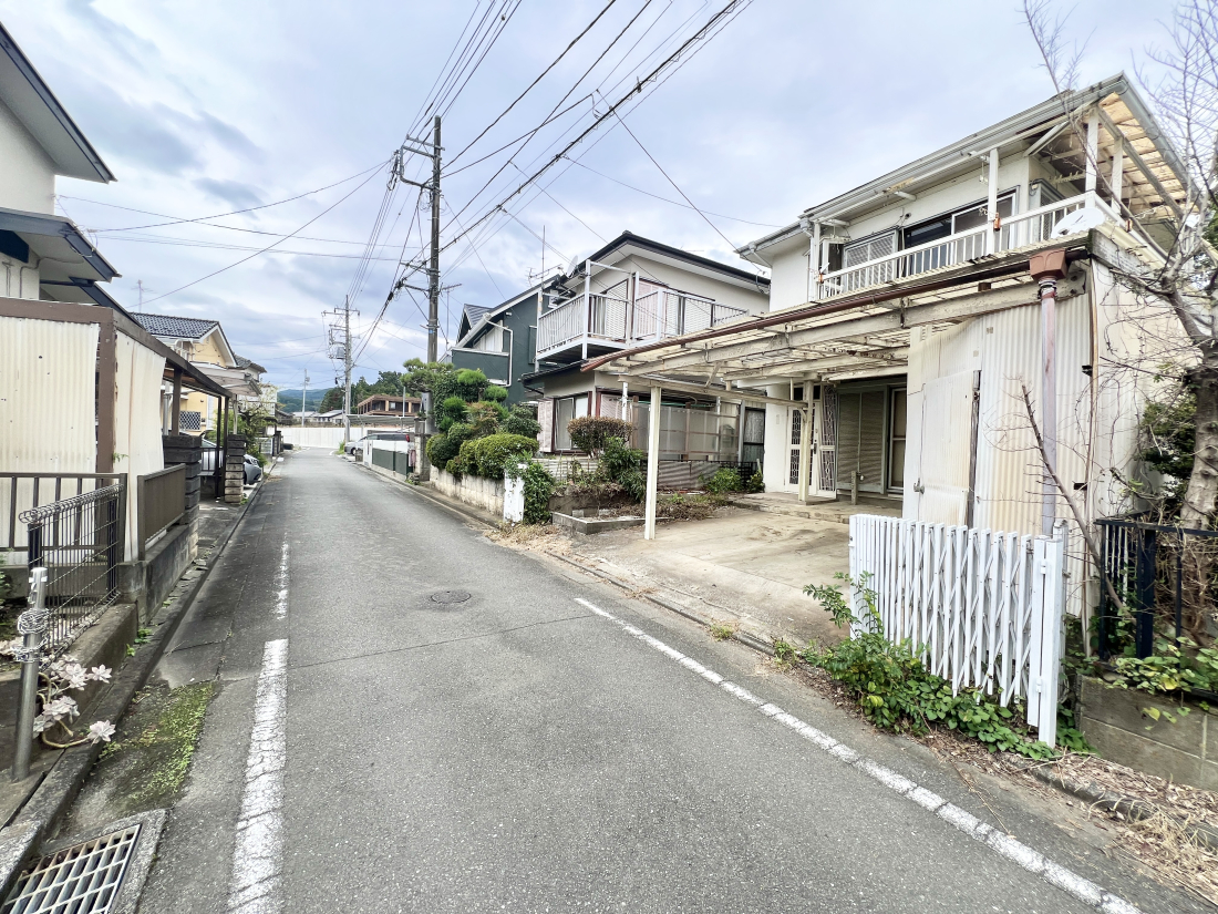 sqsR̓yn̑OʓH܂ތnʐ^