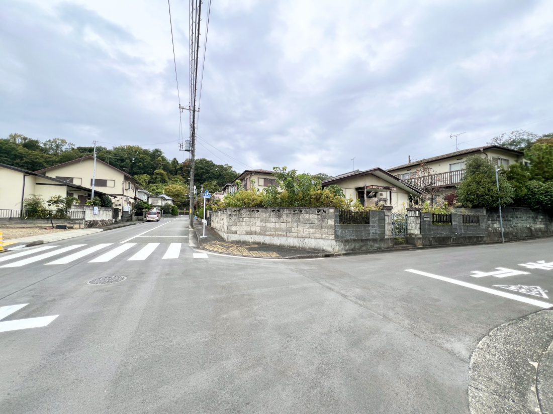 sqsq1ڂ̓yn̑OʓH܂ތnʐ^