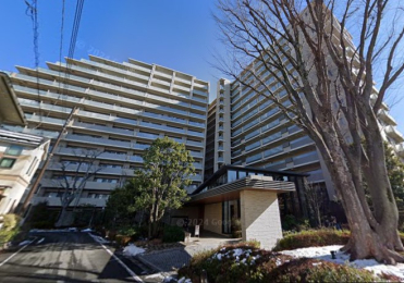 �����s�����q�s�q����1���ڂ̒��Ã}���V�����̉摜