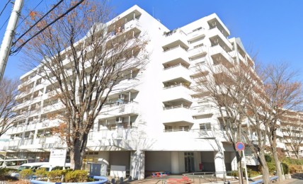 �����s�����q�s�v�ێR��1���ڂ̒��Ã}���V�����̉摜