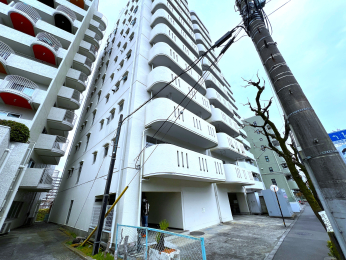 �����s�����q�s���_��4���ڂ̒��Ã}���V�����̌��n�O�ώʐ^