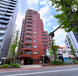 �����s�����q�s���_��4���ڂ̒��Ã}���V�����̌��n�O�ώʐ^