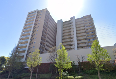 �����s�����q�s����5���ڂ̒��Ã}���V�����̉摜