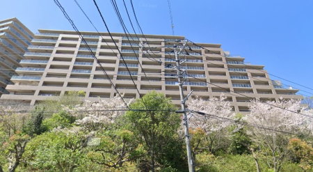 �����s�����q�s���؂̒��Ã}���V�����̉摜