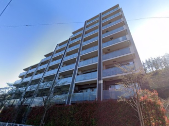 �����s�����q�s������̒��Ã}���V�����̉摜