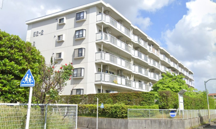 �����s�����q�s�����J�̒��Ã}���V�����̉摜