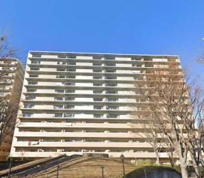 �����s�����q�s���Ԓ��̒��Ã}���V�����̌��n�O�ώʐ^