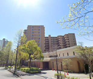 �����s�����q�s���M��3���ڂ̒��Ã}���V�����̌��n�O�ώʐ^