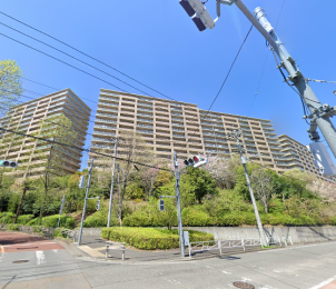 �����s�����q�s���؂̒��Ã}���V�����̉摜