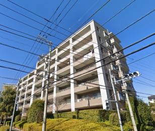 �����s�����q�s��˂̒��Ã}���V�����̉摜