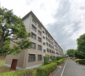 �����s�����q�s�����̒��Ã}���V�����̌��n�O�ώʐ^