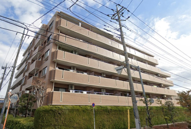 �����s�����q�s���{����2���ڂ̒��Ã}���V�����̉摜