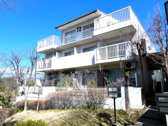 �����s�����q�s���c���̒��Ã}���V�����̉摜