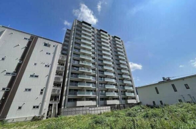 �����s�����q�s�������̒��Ã}���V�����̌��n�O�ώʐ^