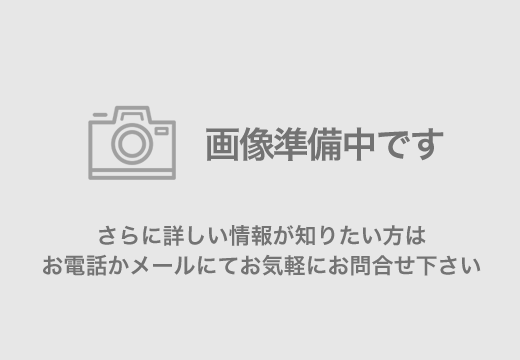 �����q�s�J�쒬�̐V�z��ˌ��Ẳ摜